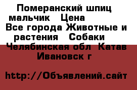 Померанский шпиц, мальчик › Цена ­ 35 000 - Все города Животные и растения » Собаки   . Челябинская обл.,Катав-Ивановск г.